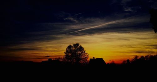 Silhouette of trees at sunset