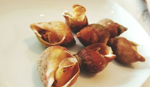 Close-up of food on plate