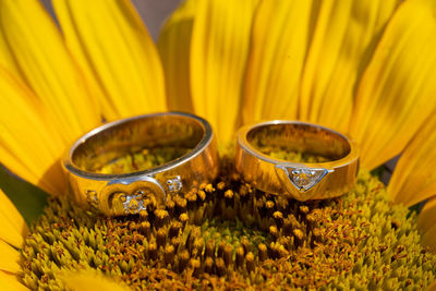 Close-up of yellow flowers on table