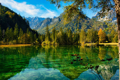 Scenic view of lake in forest against sky