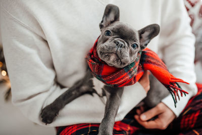 Midsection of man with dog