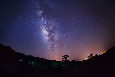 Low angle view of silhouette trees against star field