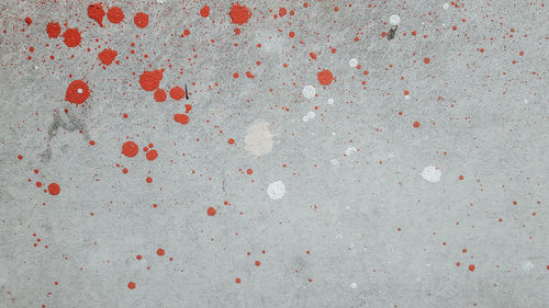 Close-up of red background