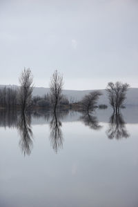 Reflection of trees in lake against sky
