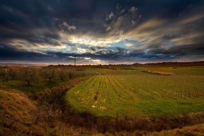 Scenic view of agricultural field with a cloudy sky