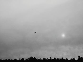 Low angle view of silhouette birds flying against sky