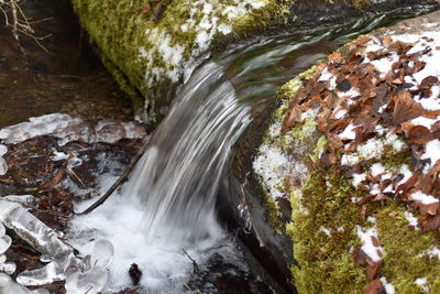 Scenic view of waterfall in forest