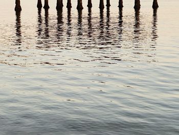 Low section of people standing in lake