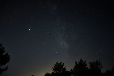 Low angle view of silhouette trees against sky at night