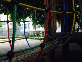 Clothes hanging on rope against trees