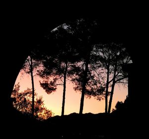 Silhouette trees on field against sky at sunset