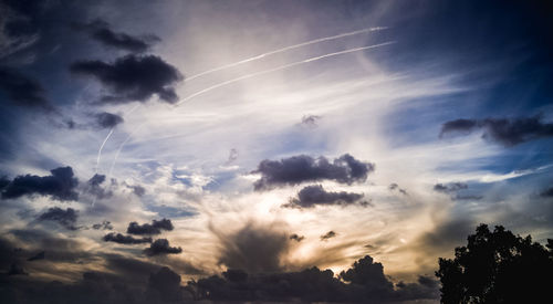 Low angle view of silhouette trees against sky