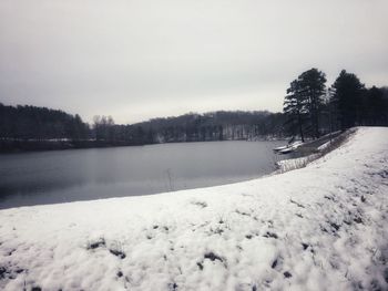 Snow covered plants by lake against sky