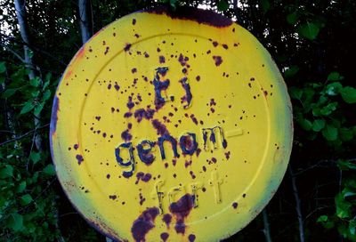 Close-up of yellow text on tree