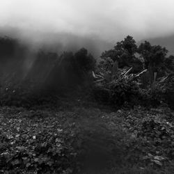 Scenic view of landscape against cloudy sky