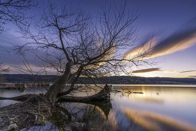 Bare tree by river against sky at sunset