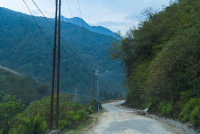 Road amidst trees and mountains