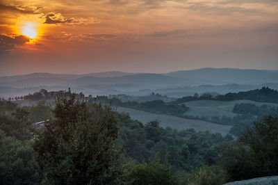 Scenic view of forest against sky during sunset