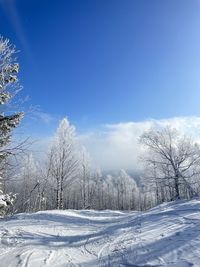 winter