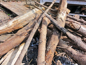 High angle view of logs on field