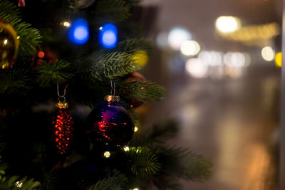 Close-up of illuminated christmas tree at night