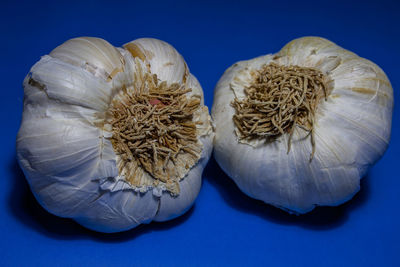 Close-up of garlic 