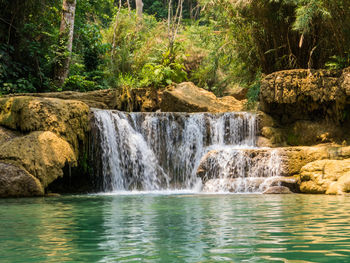 Scenic view of waterfall in forest