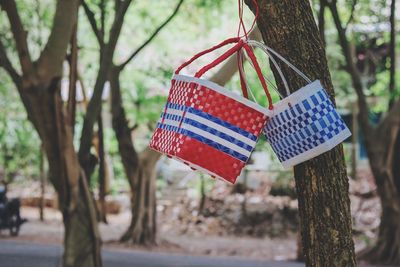 Close-up of flags hanging on tree trunk