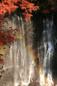 Scenic view of waterfall in forest during autumn