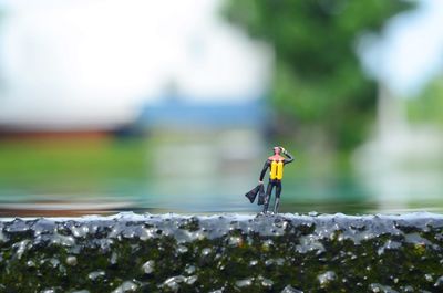 Close-up of figurine on wet rock