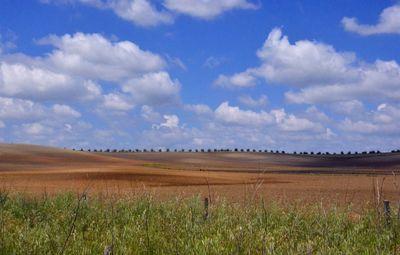 Scenic view of field against cloudy sky