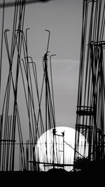 Low angle view of silhouette cranes against sky