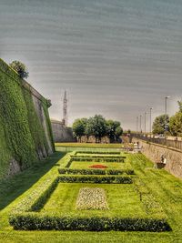 Scenic view of green landscape against sky