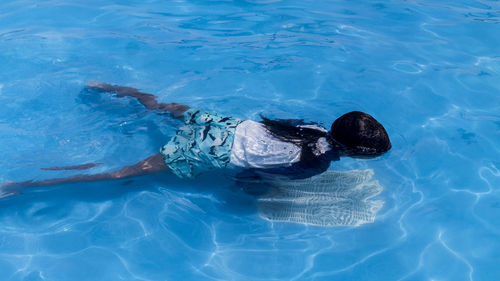 High angle view of turtle in swimming pool