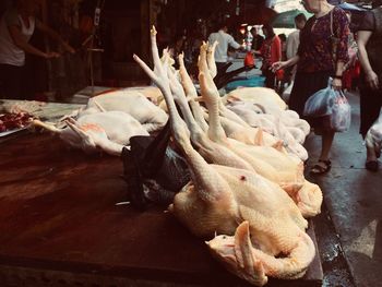 Close-up of crab in market