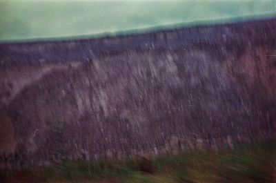 Close-up of wet field during rainy season