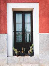 Potted plants on window sill of building