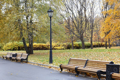 Empty bench in park during autumn