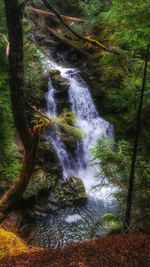 Scenic view of waterfall in forest