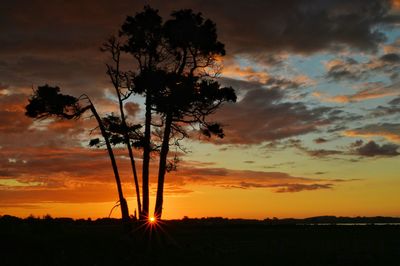 Silhouette tree on field against dramatic sky