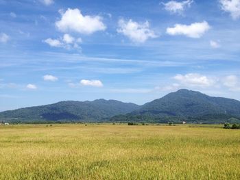 Scenic view of field against sky