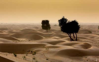 Scenic view of desert against clear sky during sunset