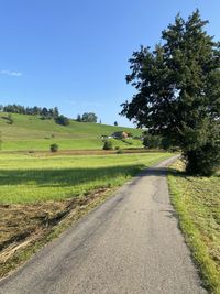 Road amidst field against sky