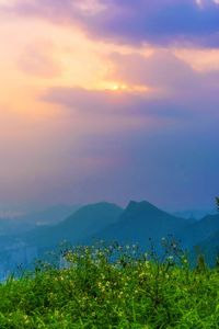 Scenic view of agricultural field against sky at sunset