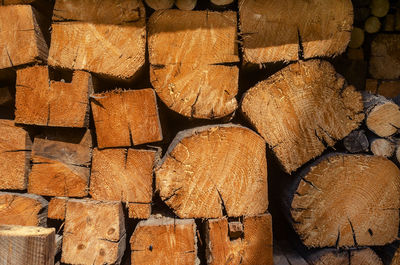 Full frame shot of logs in forest