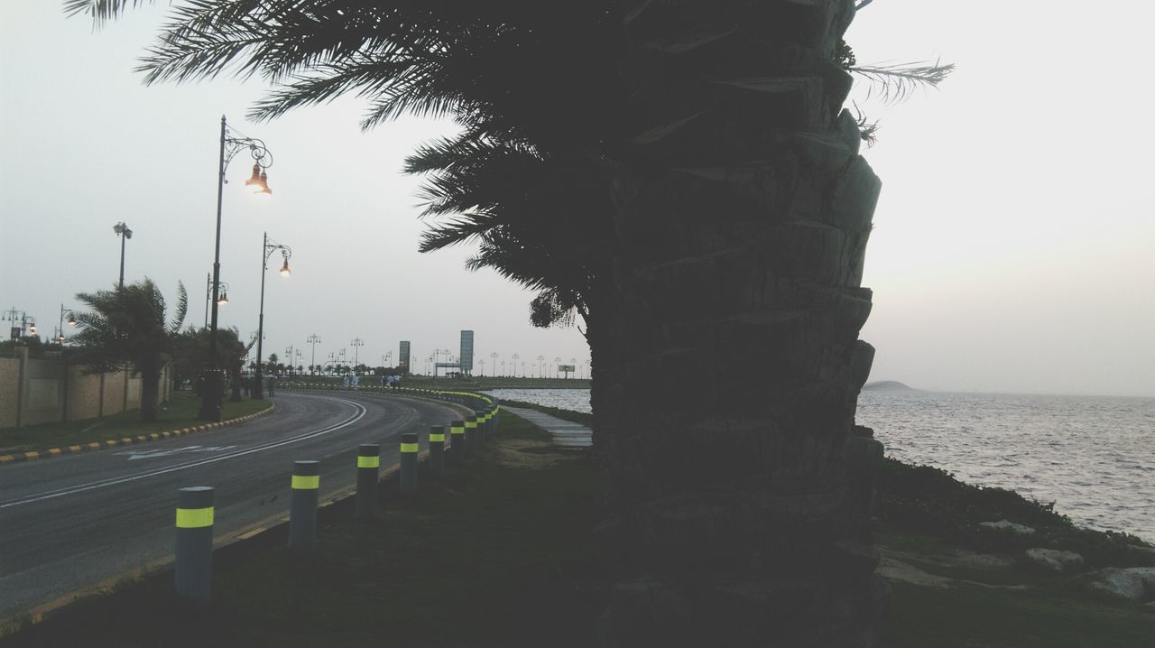 water, sea, clear sky, tree, tranquility, horizon over water, palm tree, tranquil scene, nature, sky, road, scenics, beach, beauty in nature, growth, outdoors, no people, shore, sunset, the way forward