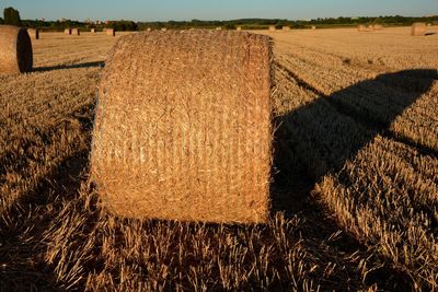 Bales of straw