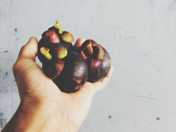 Close-up of hand holding apple