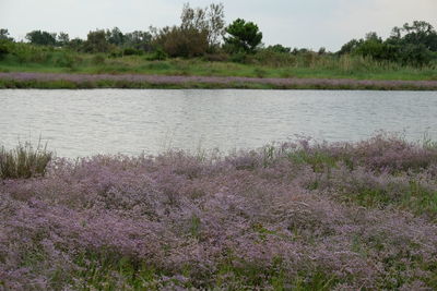 Scenic view of lake against sky