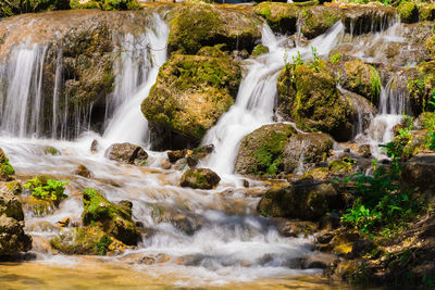 View of waterfall in forest